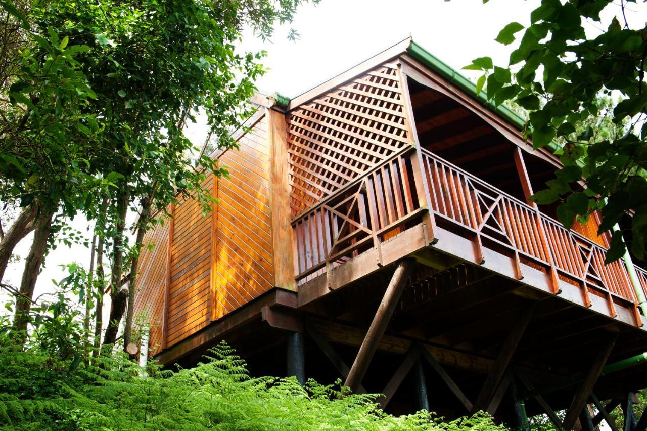 Arendsrus Country Resort Molen Drift Luaran gambar