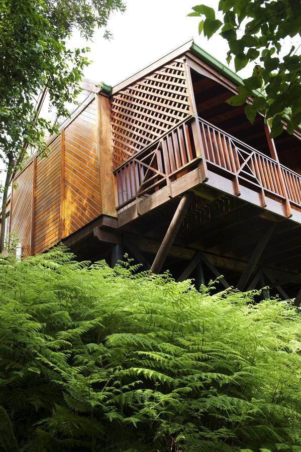 Arendsrus Country Resort Molen Drift Luaran gambar